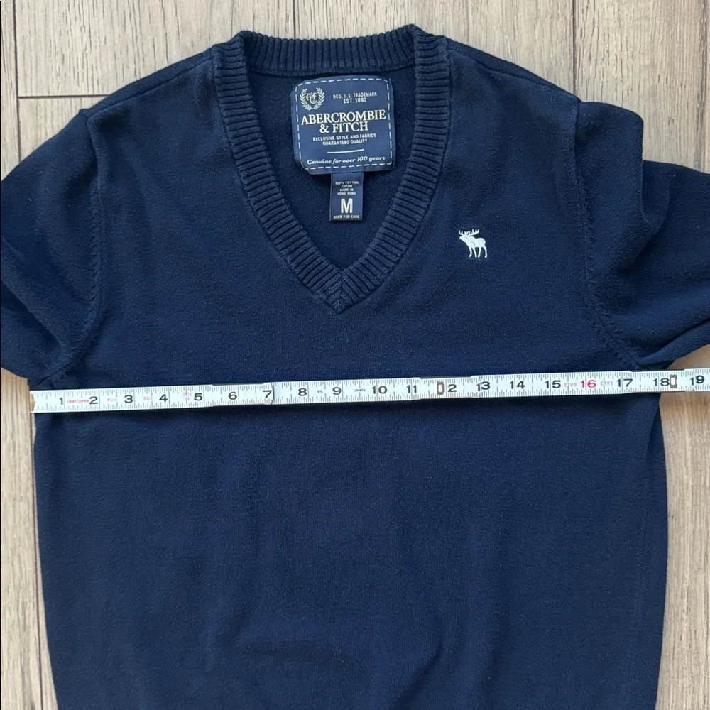 Abercrombie & Fitch Men's V-Neck Sweater Blue Medium 2000s Classic Moose Logo